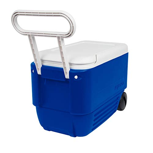 IGLOO 45004
