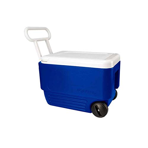 IGLOO 45004