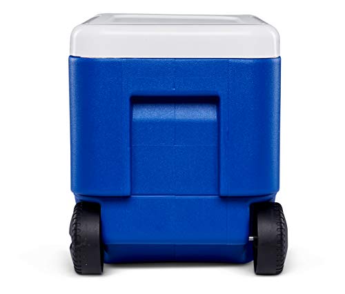IGLOO 45004