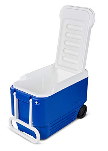 IGLOO 45004