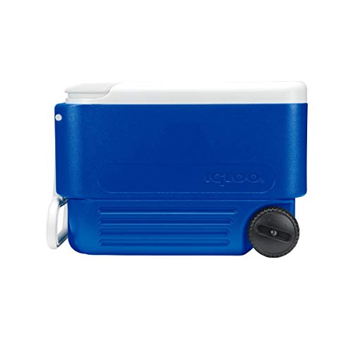 IGLOO 45004