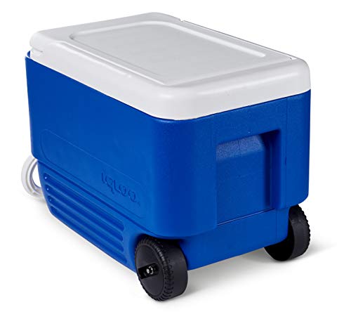 IGLOO 45004