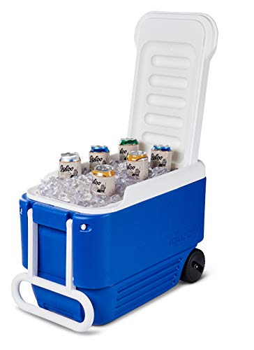 IGLOO 45004