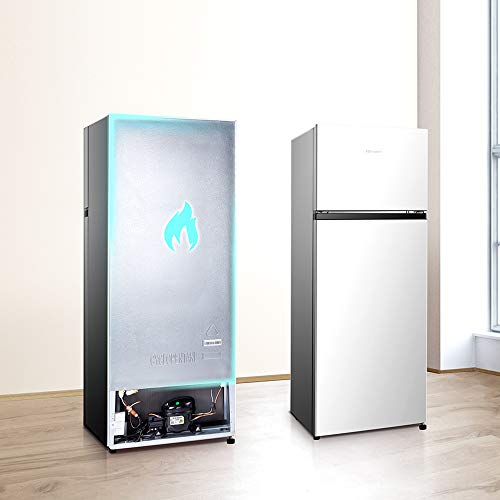 Hisense RT267D4AWF